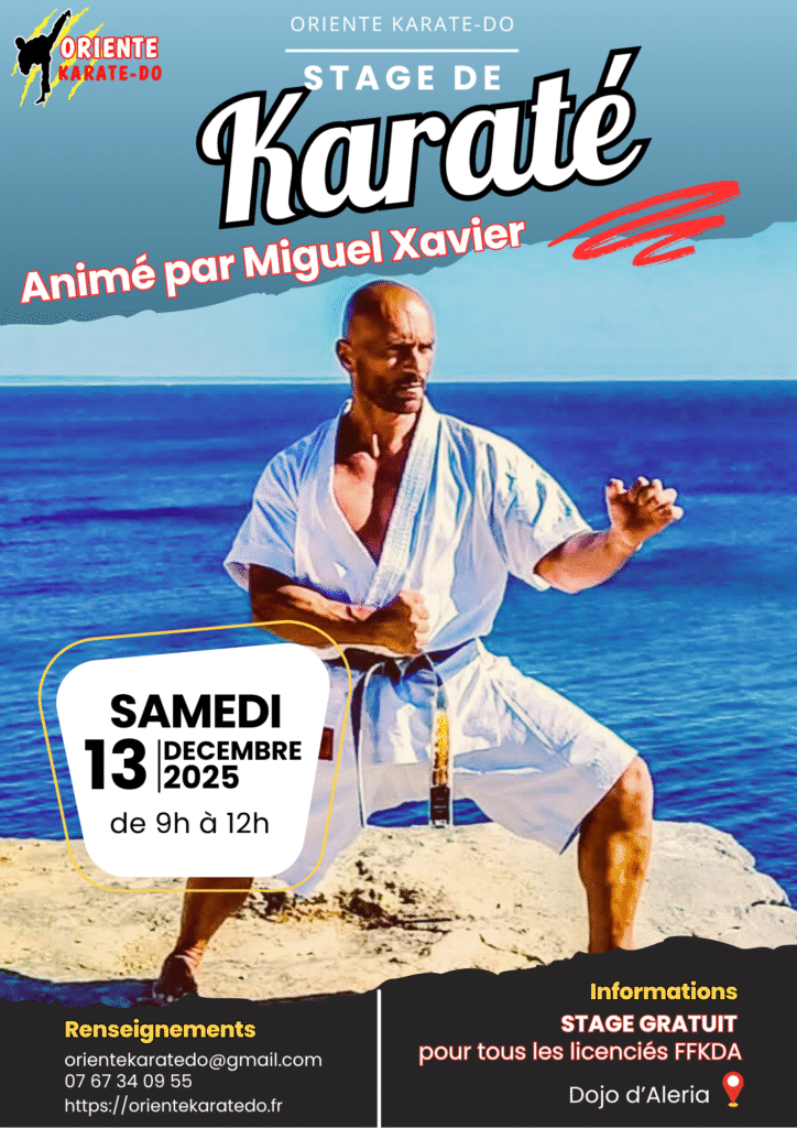 Affiche Poster Évènement Concours de Pétanque Simple Moderne Photo Bleu Rose