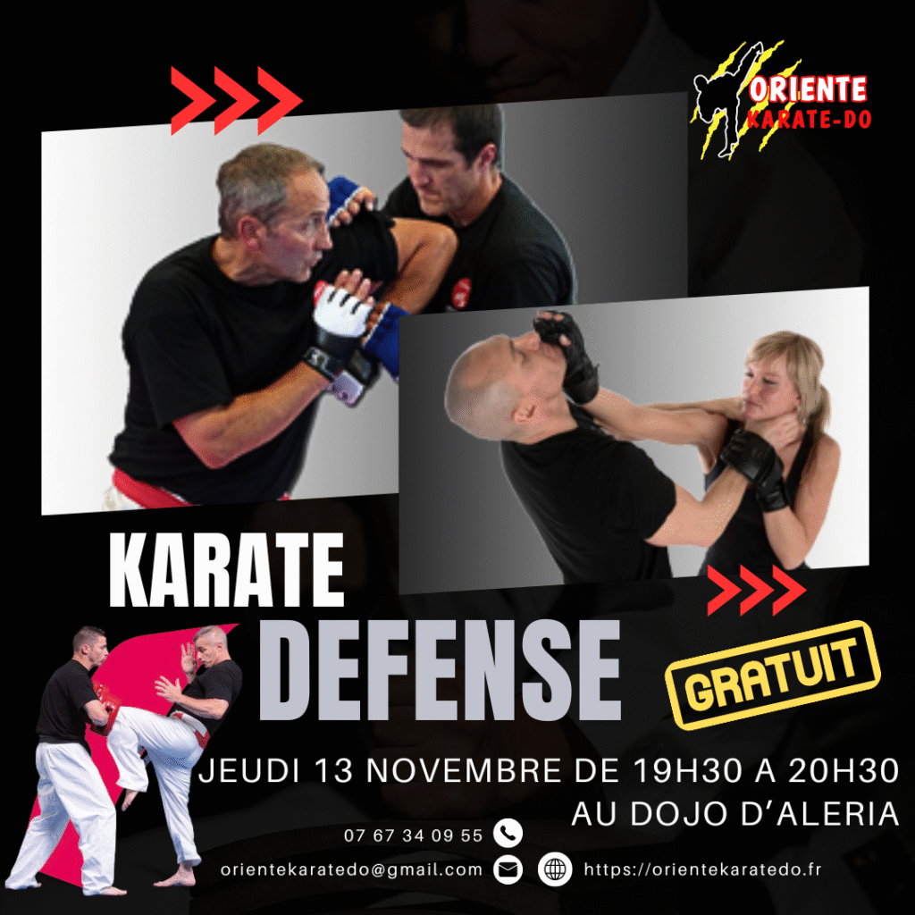 Black and Grey Modern Martial Arts Professional Classes Promotion Instagram Post